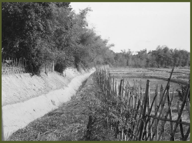 Bamboo fence and trench around cultivated fields at a strategic hamlet at Cu Chi-1