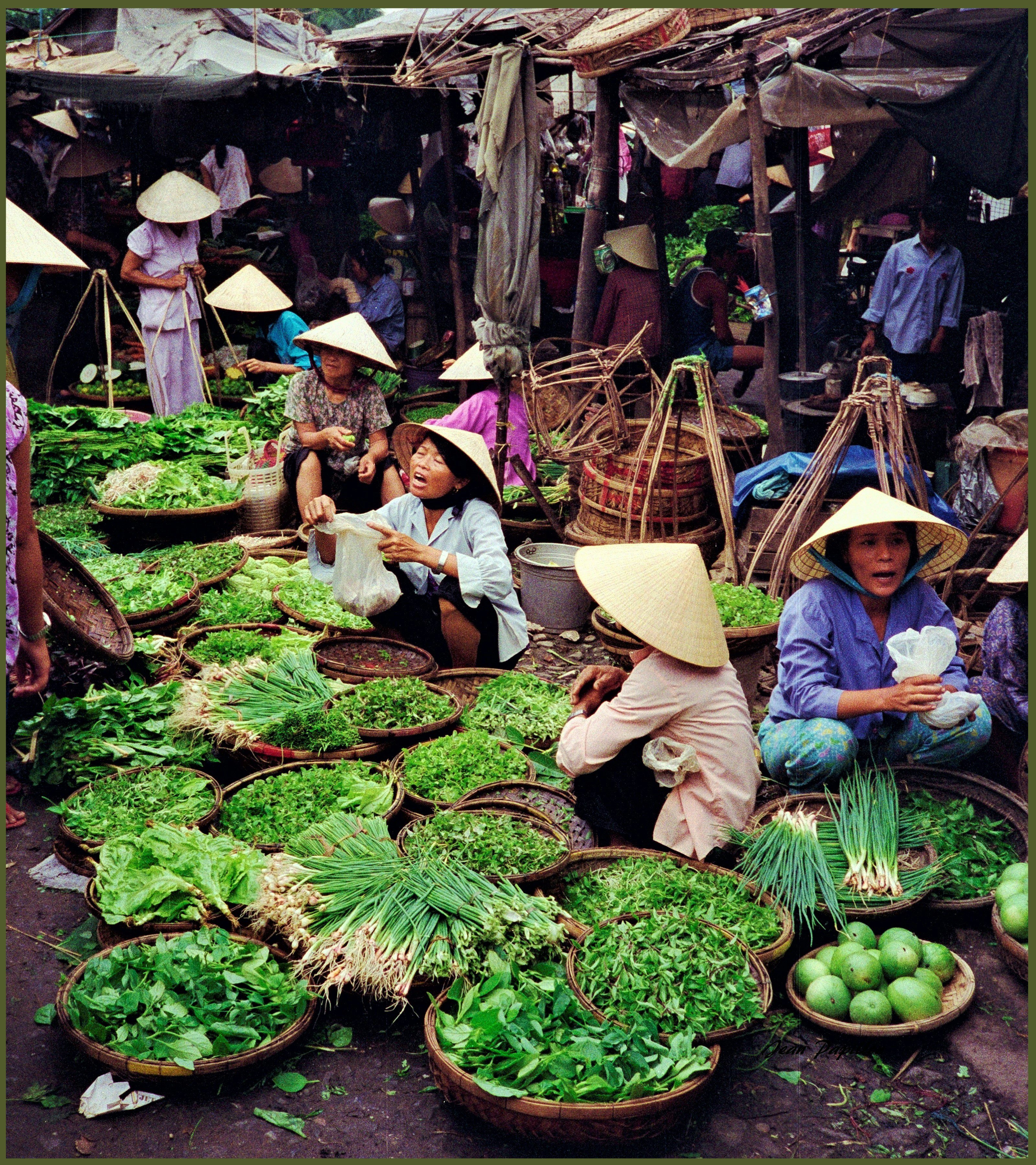 Hoi Han market woman