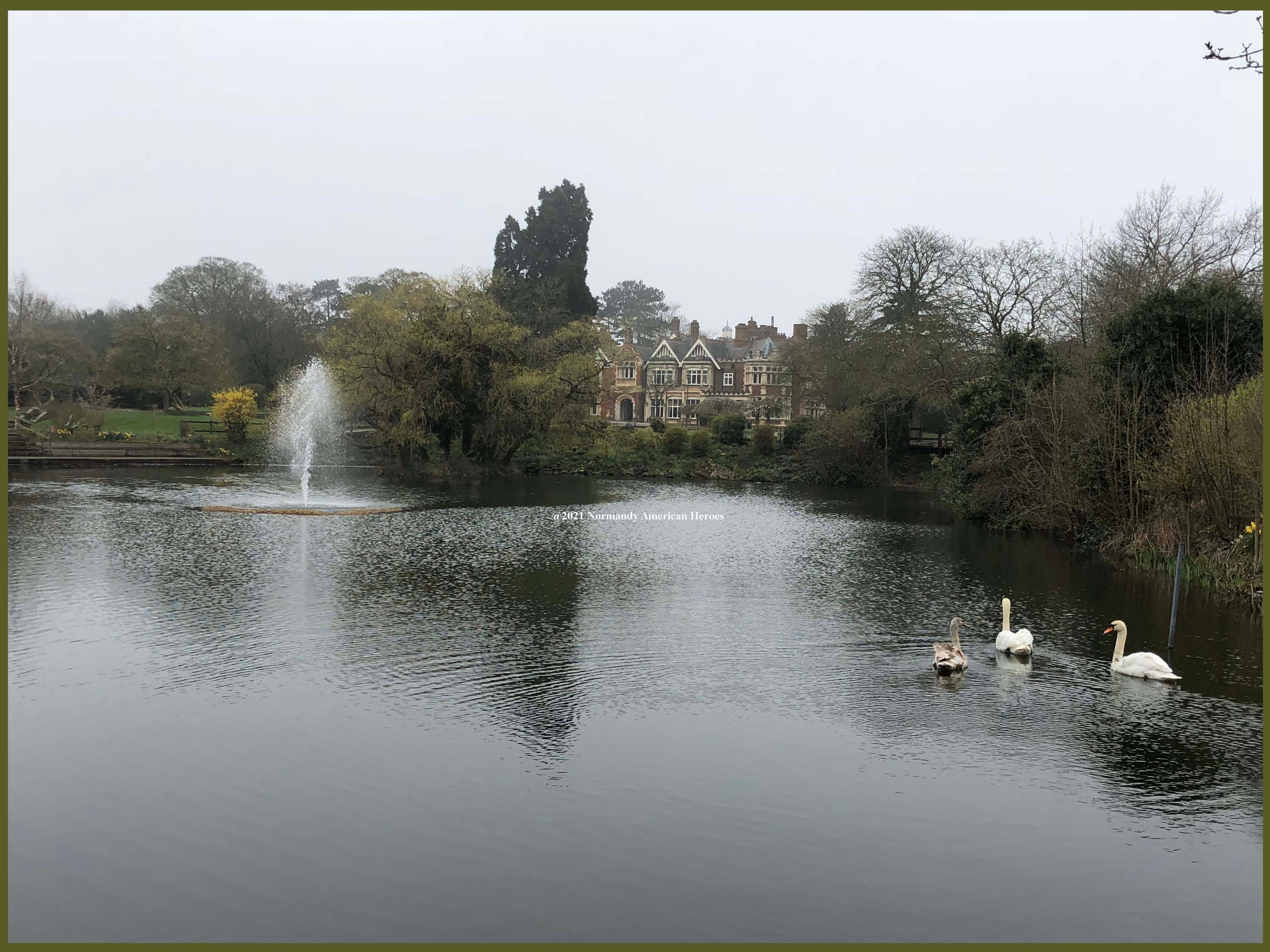 Bletchley with swanns