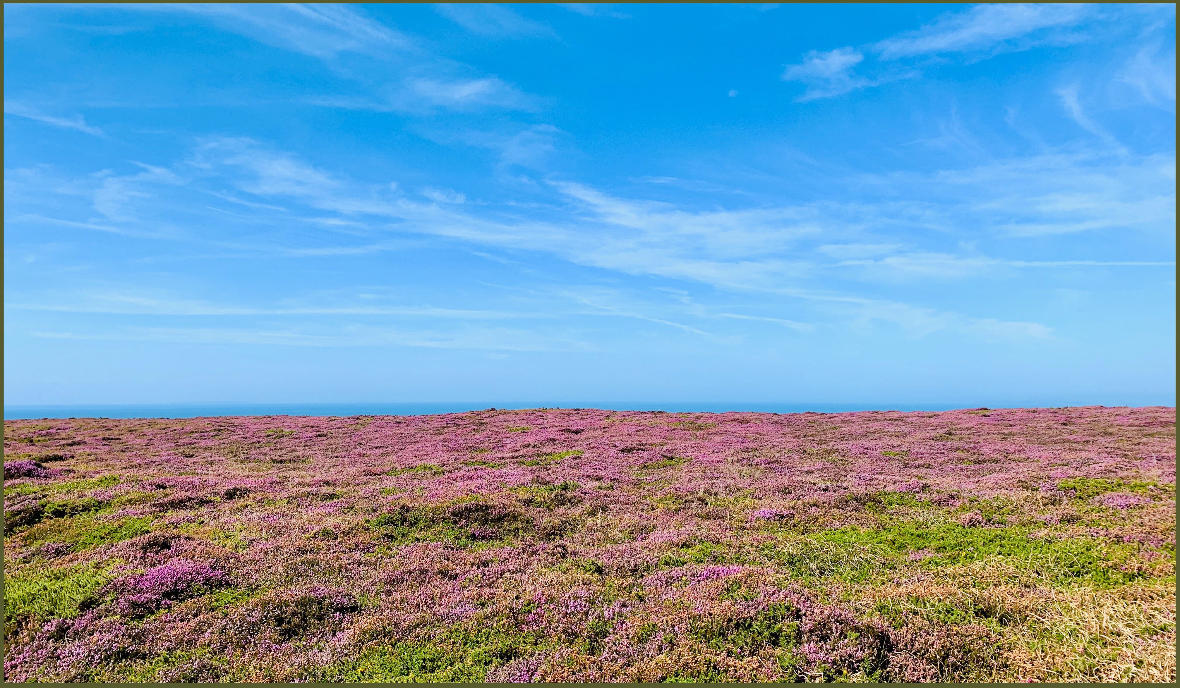 Cap de la Hague copy