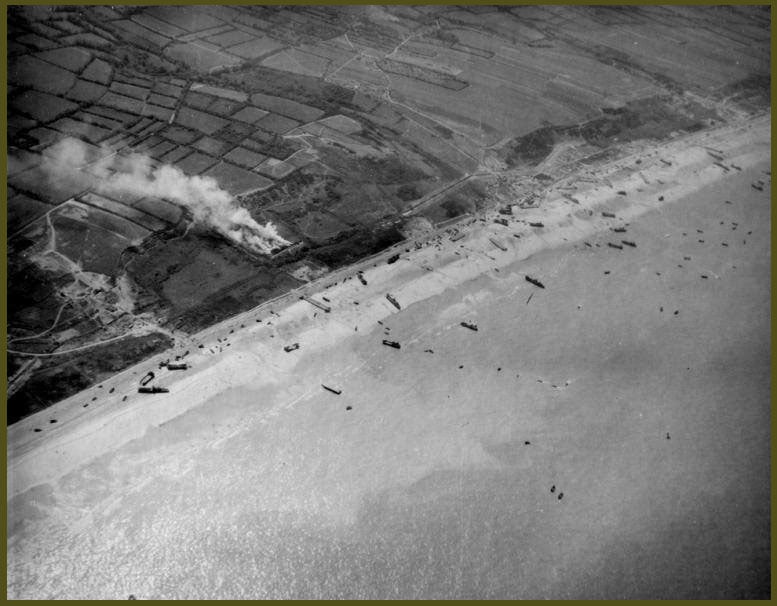 Dog to Easy from the sky copy