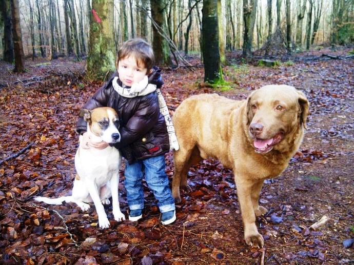 Foret de Cerisy Swann avec Vlad et Barbie le 21 decembre 2012.jpg