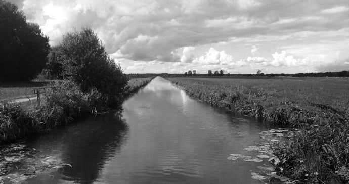 Les Marais noir et blanc