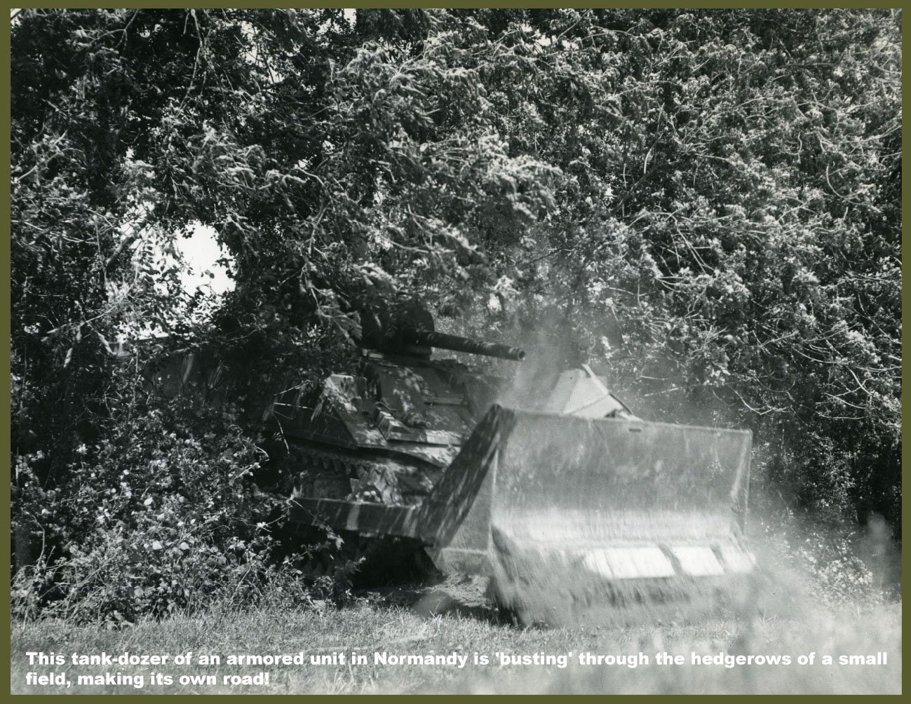 hedgerow tank dozer