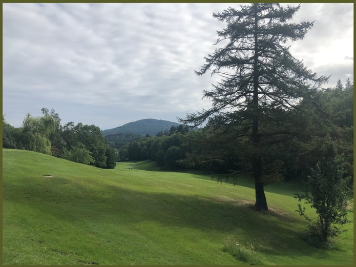 nice view golf copy