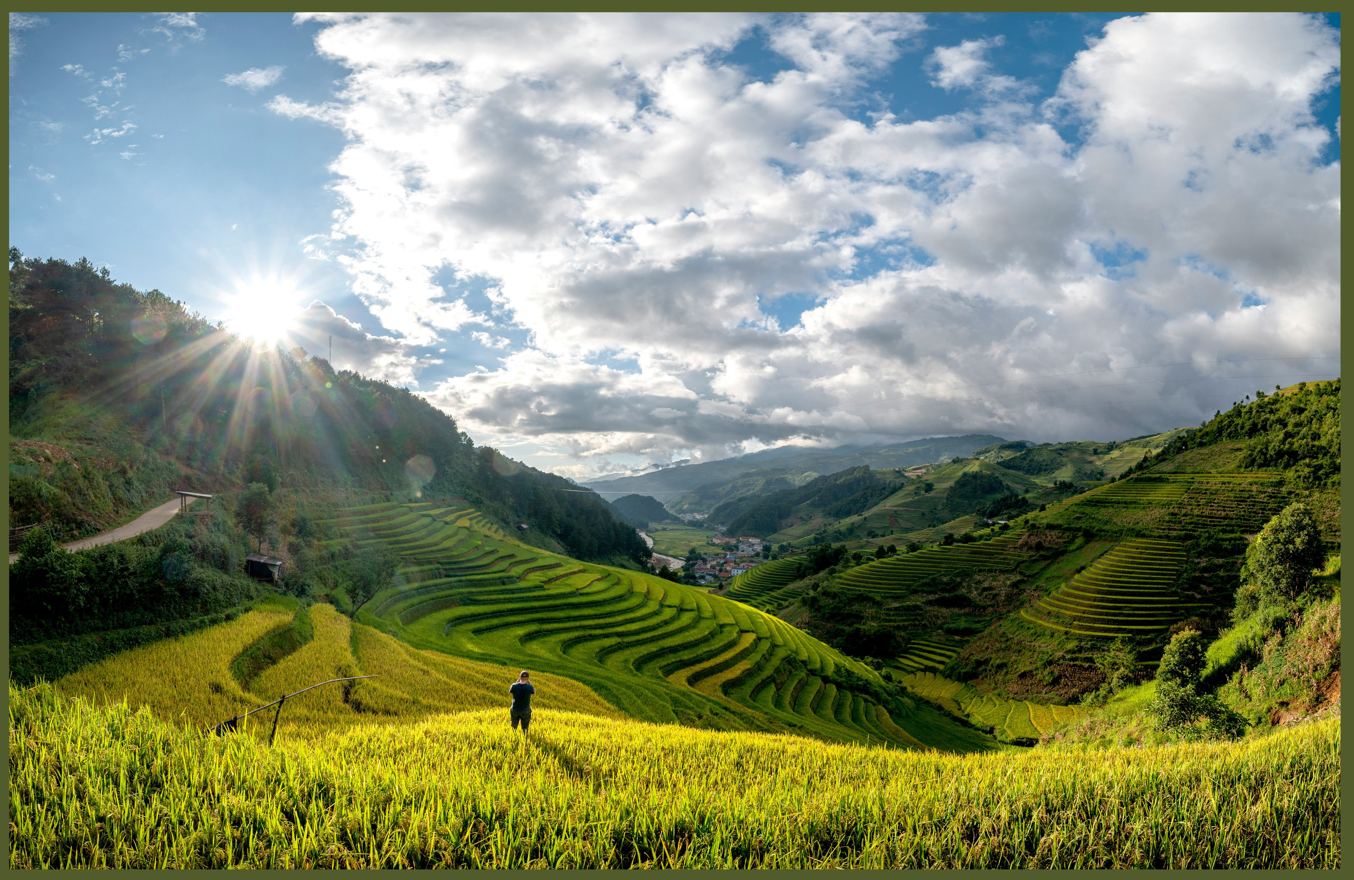 Mu Cang Chai fields