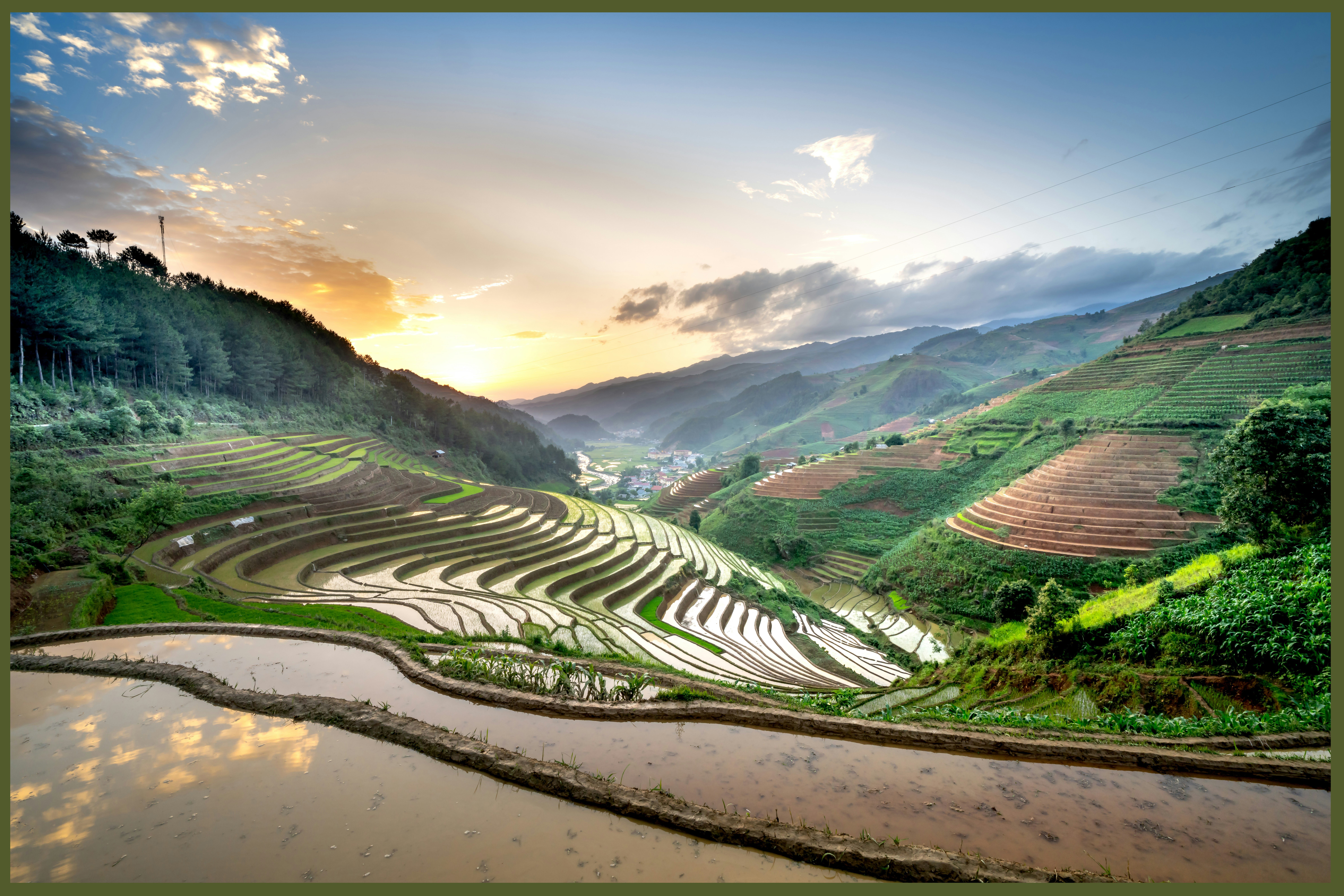 Mu Cang Chai rice fields