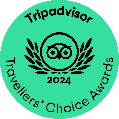 TC_green_winner-gif_LL_2024