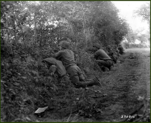 hedgerowv2