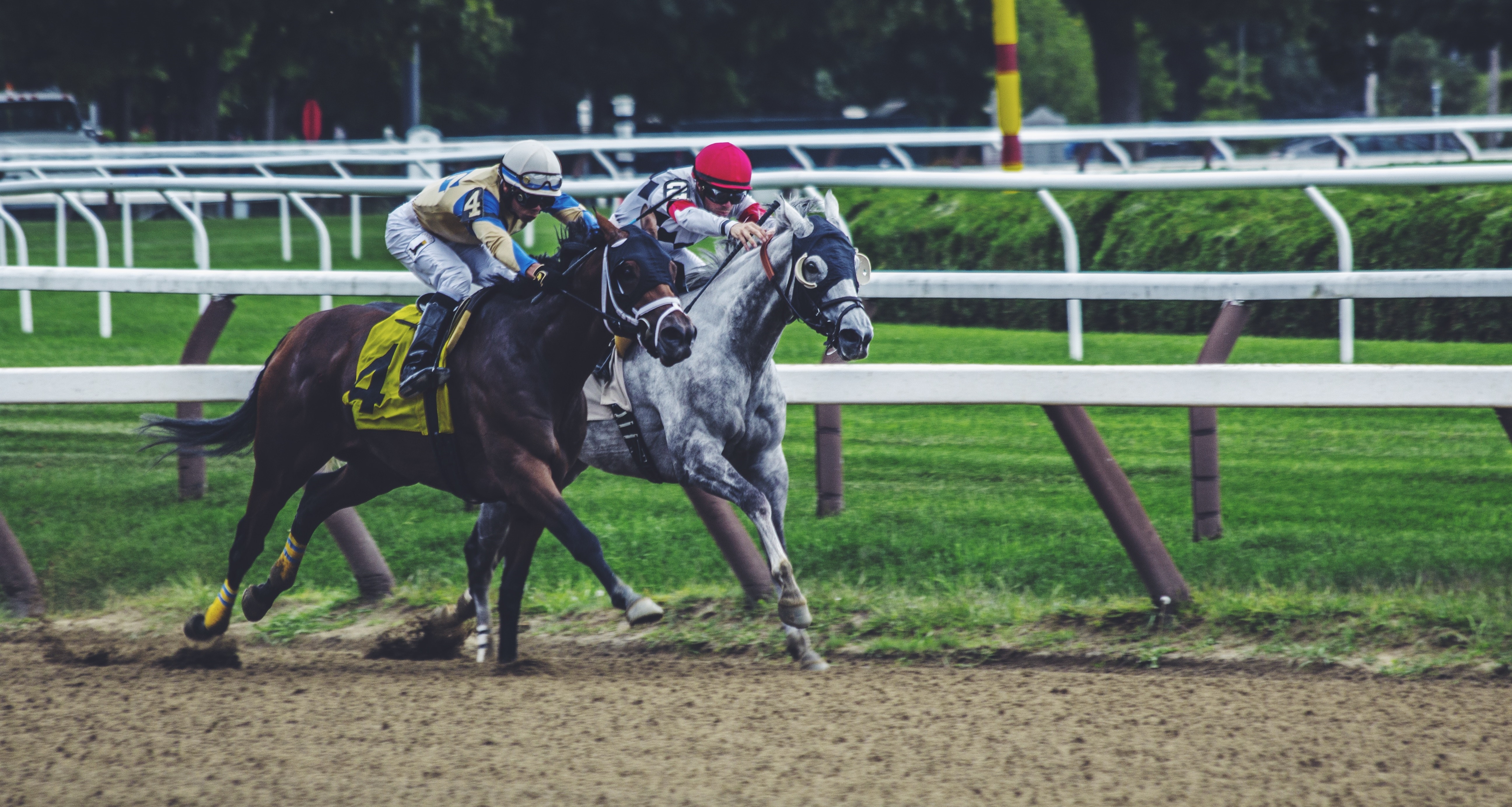 noah-silliman-144948-unsplash